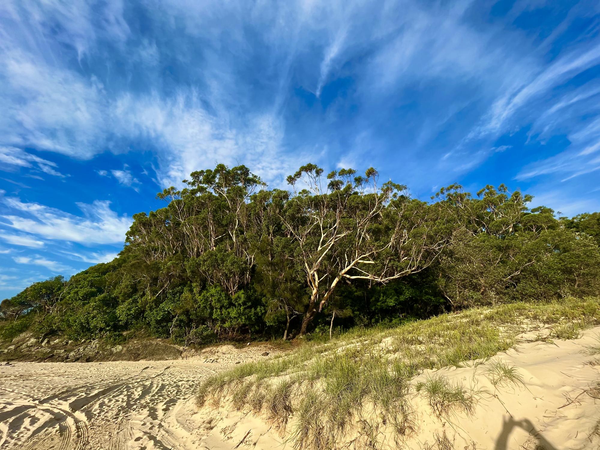 Beachside piccys Australia