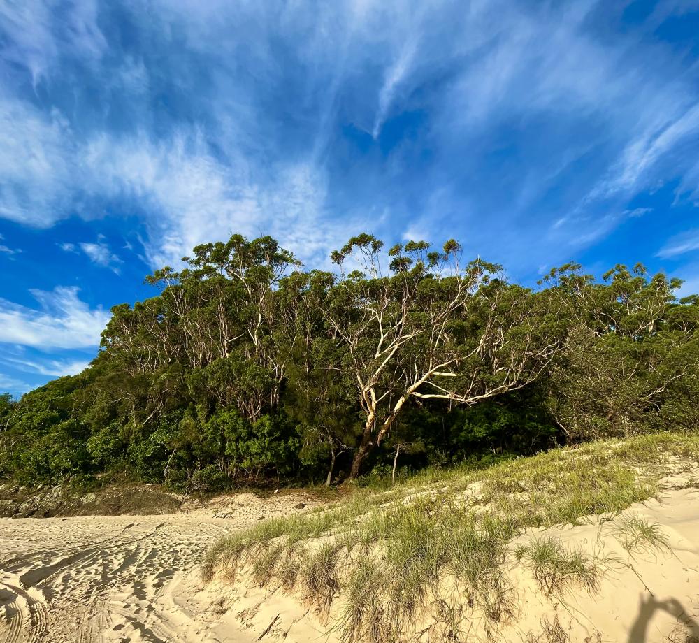 Beachside piccys Australia