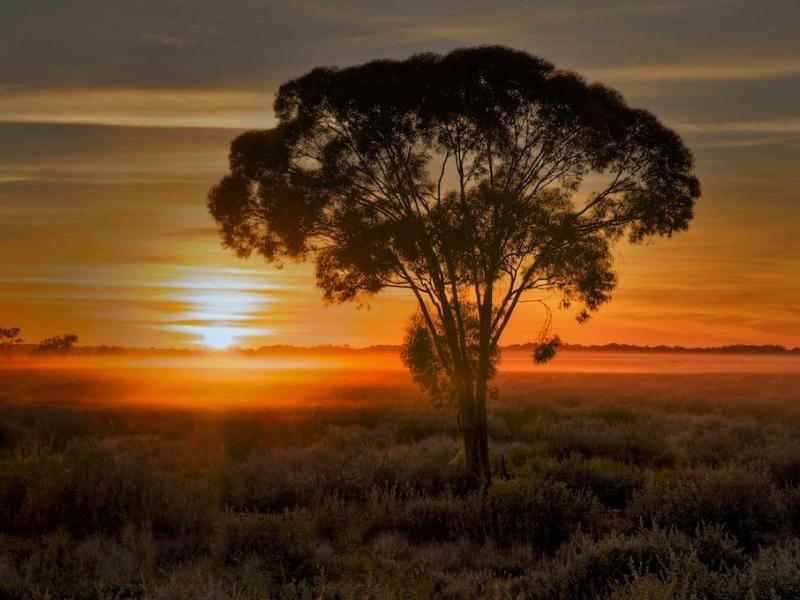 Australian Outback